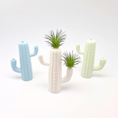 Cactus Air Plant Mounting Base w/Three Colors Assorted