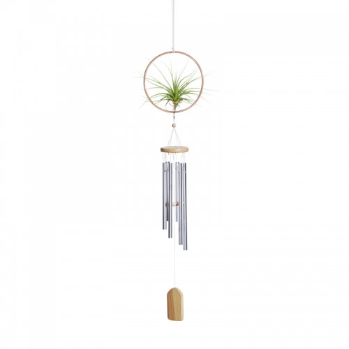 Air Plant Hanging Ring with Wind Chime Set