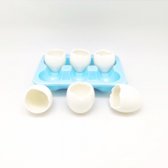 6Pcs Mini Plant Containers with Egg Tray